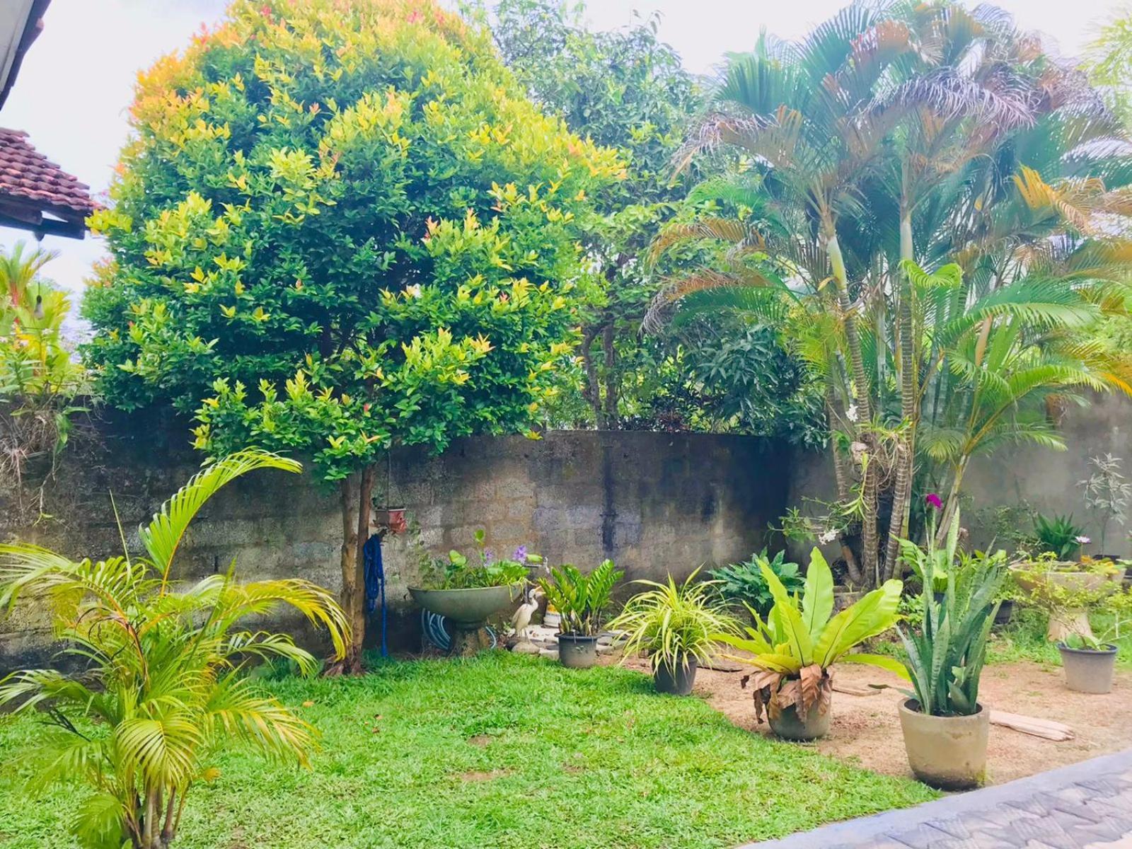 Family Villa Mirissa Ngoại thất bức ảnh
